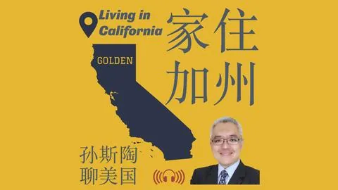 2025年美国职业球队球衣收藏版