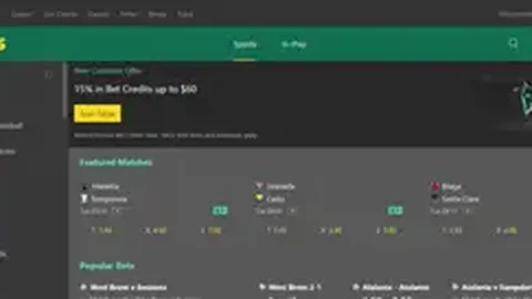 BB贝博艾弗森体育